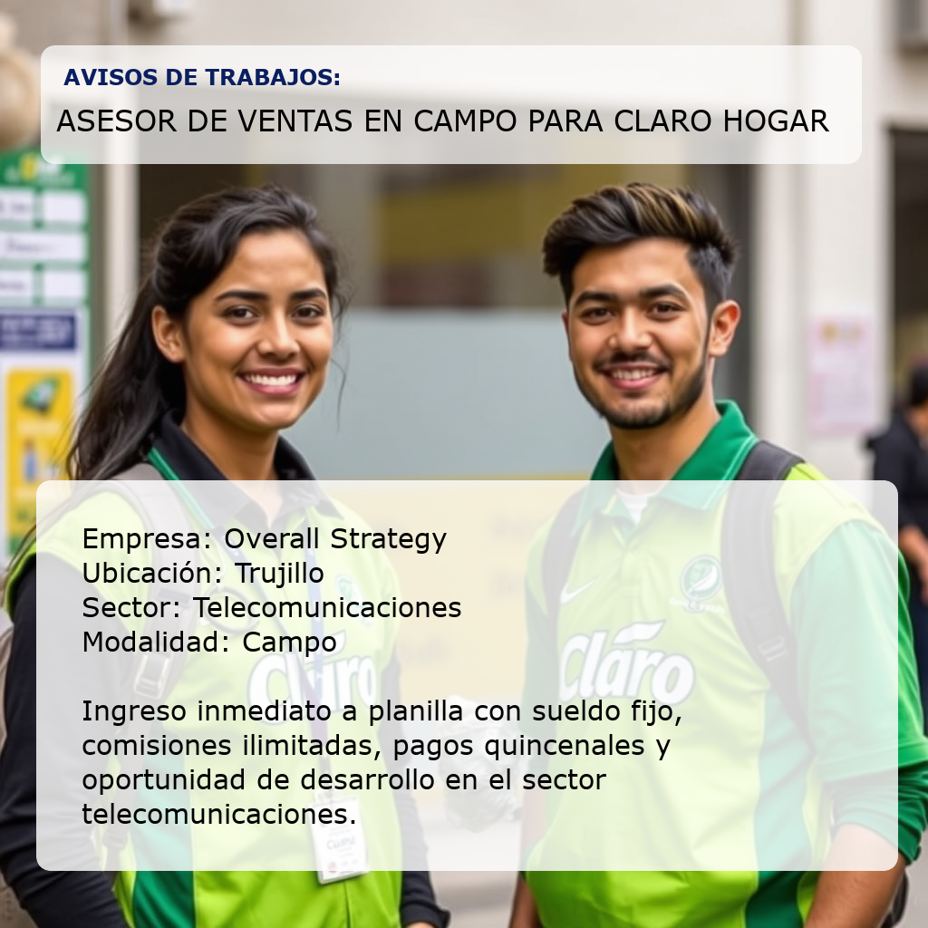Asesor de Ventas en Campo para Claro Hogar Overall Strategy